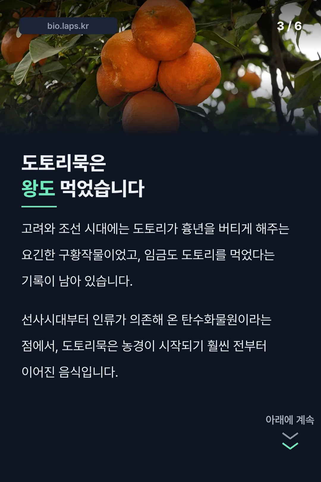 도토리묵은 왕도 먹었다