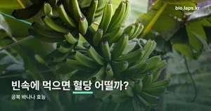 공복 바나나 효능, 혈당 괜찮을까 — 영양성분부터 확인
