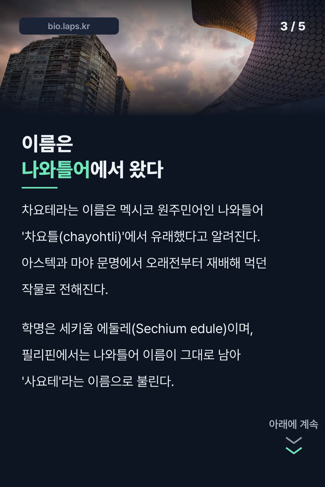 차요태 이름의 나와틀어 유래