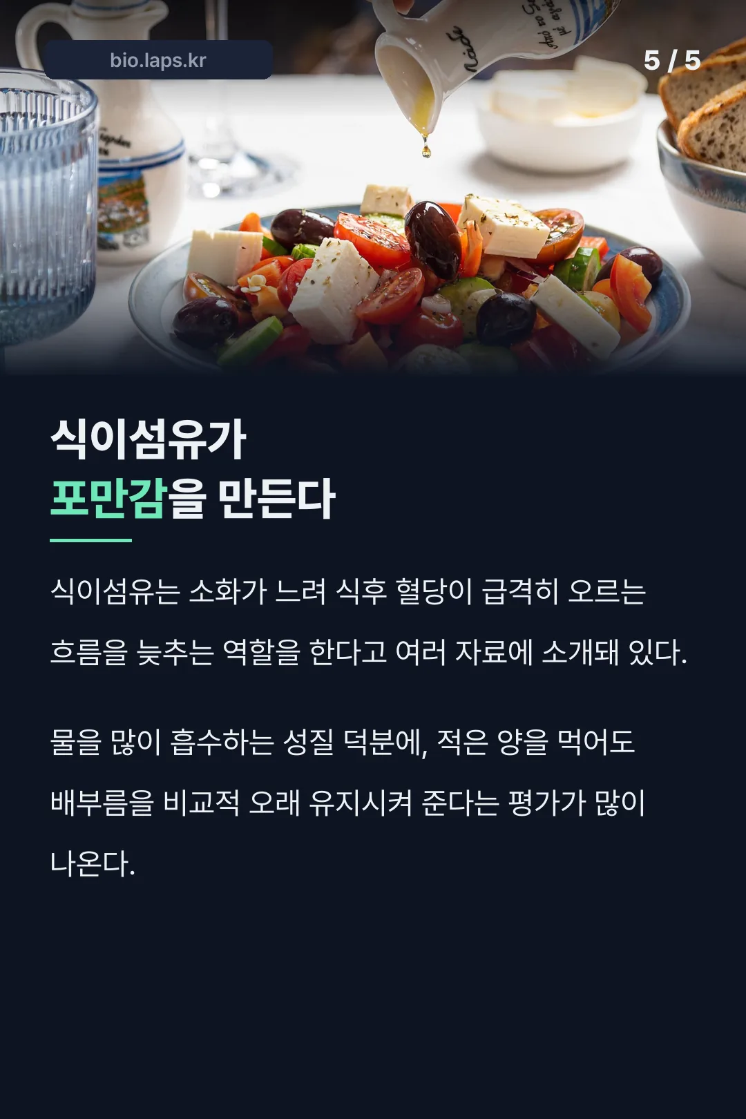 차요태 식이섬유 포만감