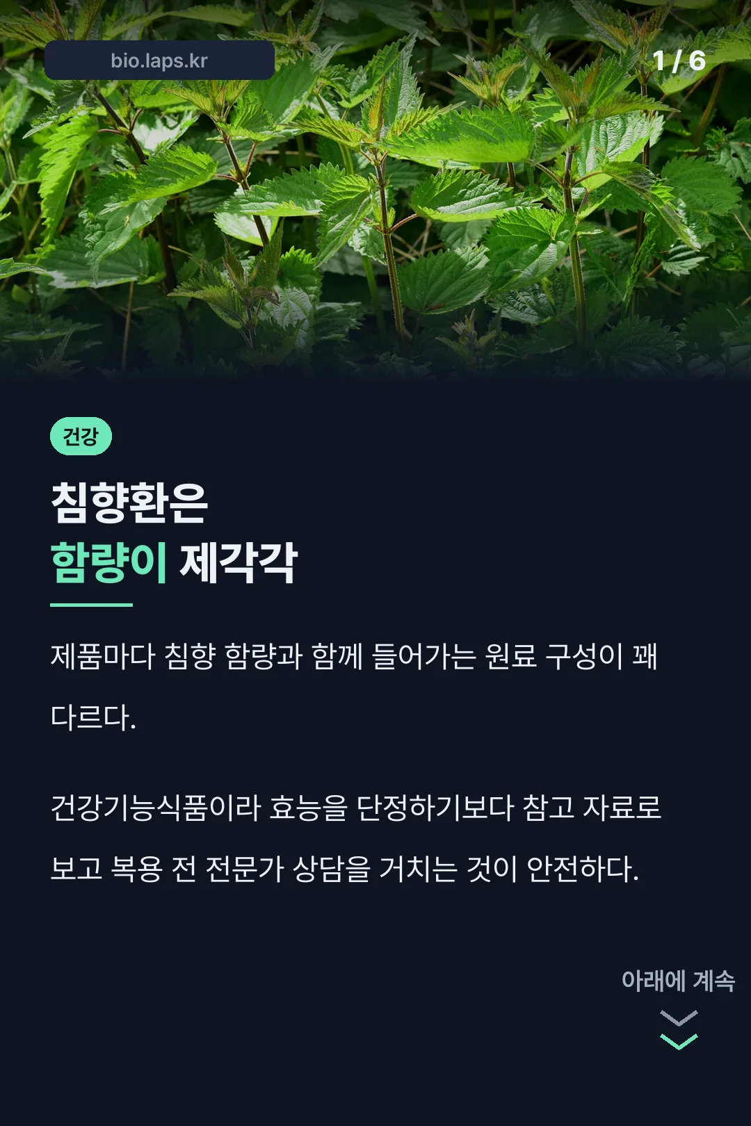 침향환 추천 핵심 요약