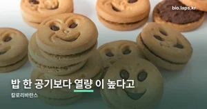 칼로리바란스 — 한 봉 열량이 밥 한 공기와 비슷합니다