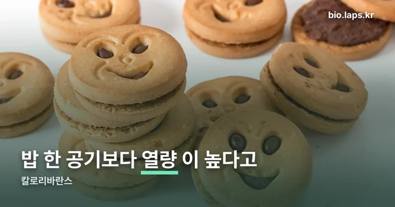 칼로리바란스 정리 썸네일