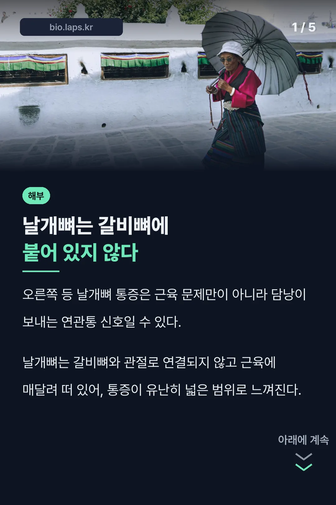 날개뼈는 갈비뼈에 붙어 있지 않다는 사실