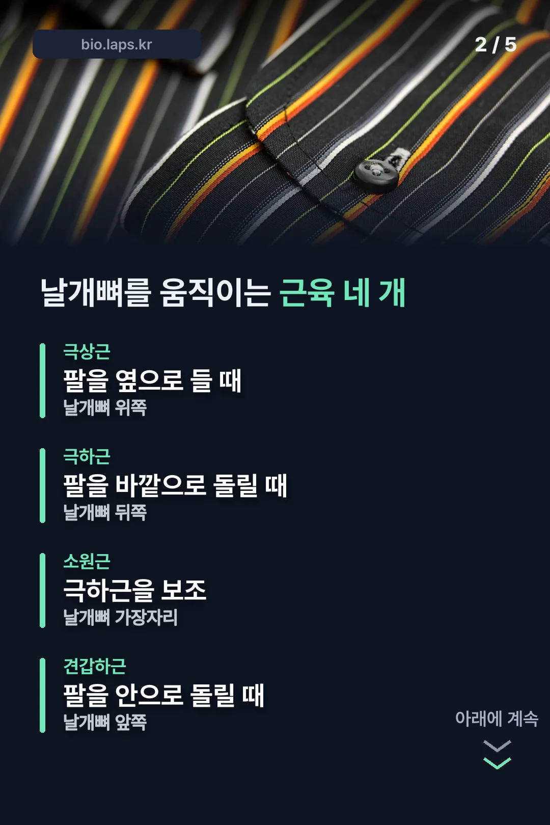 날개뼈를 움직이는 근육 네 가지