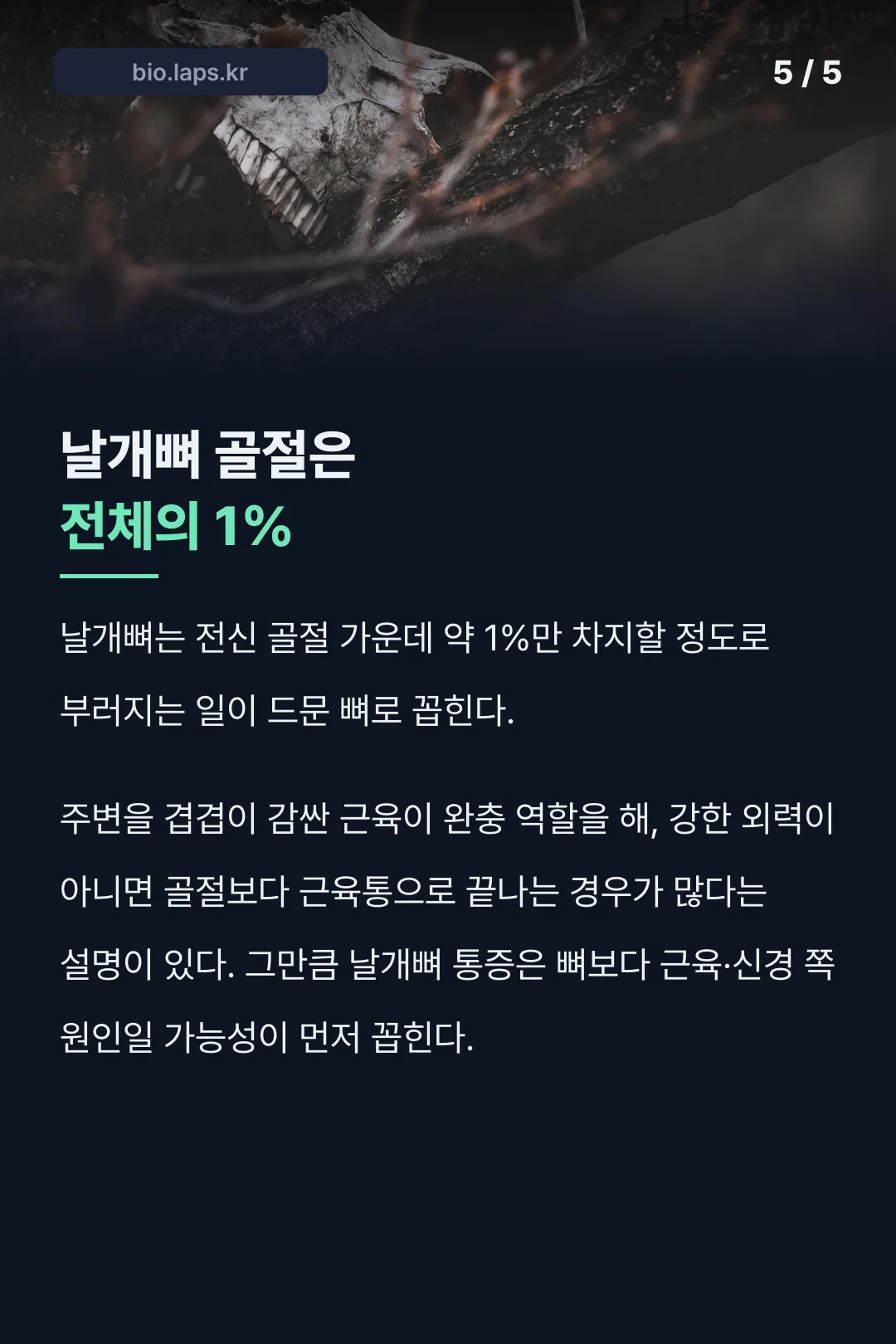 날개뼈 골절이 전체 골절의 1%에 불과하다는 기록