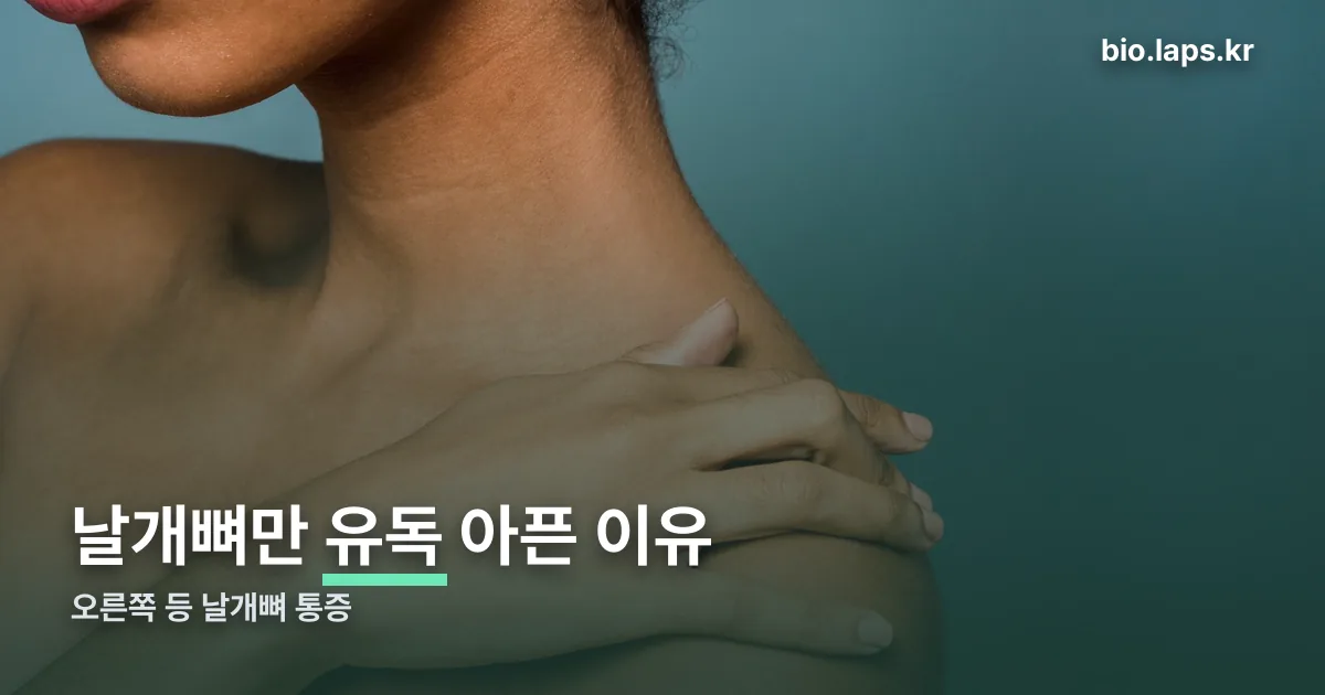 오른쪽 등 날개뼈 통증 정리 썸네일