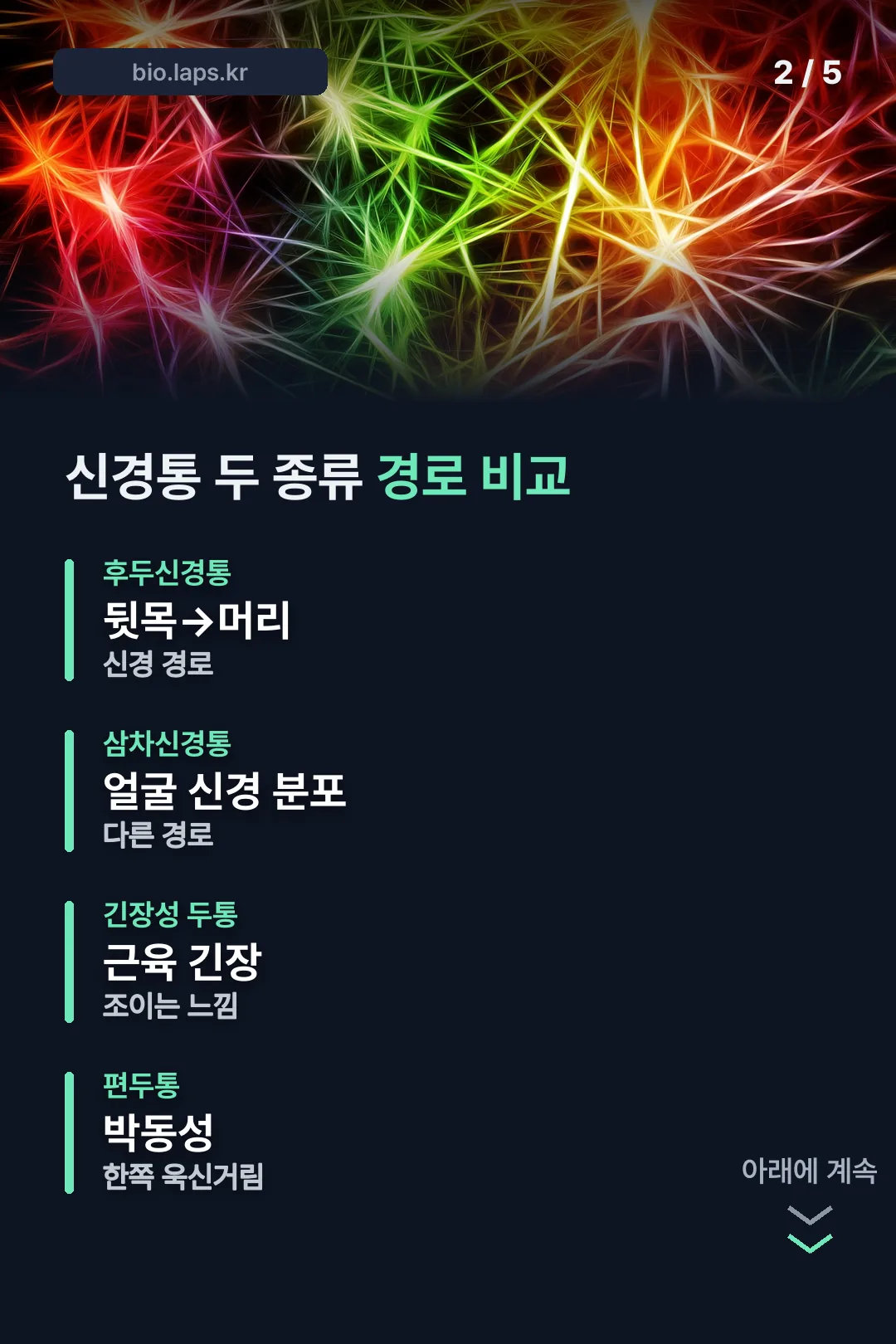 신경통 두 종류 비교표