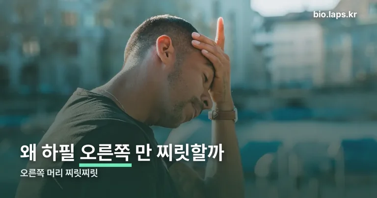 오른쪽 머리 찌릿찌릿 정리 썸네일