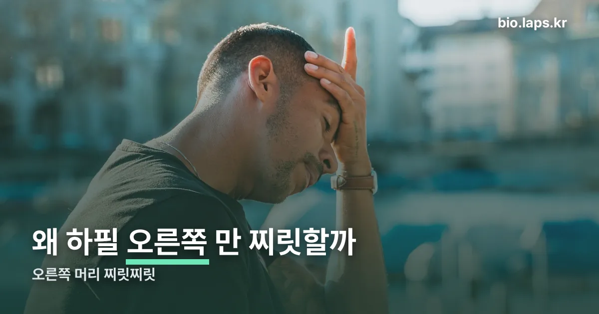 오른쪽 머리 찌릿찌릿 정리 썸네일