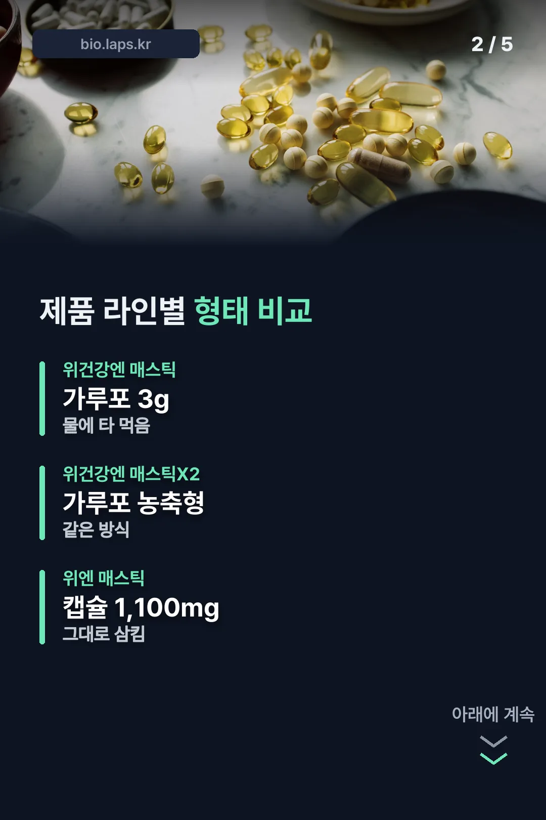 제품 라인별 형태 비교
