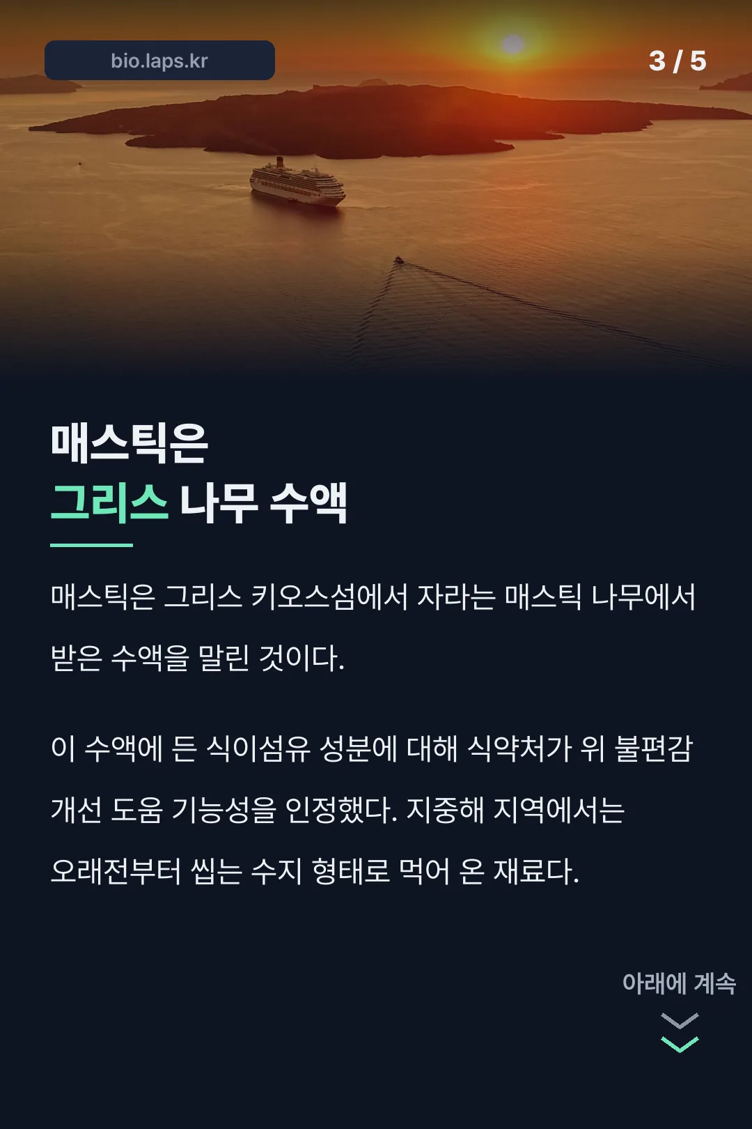 매스틱의 유래