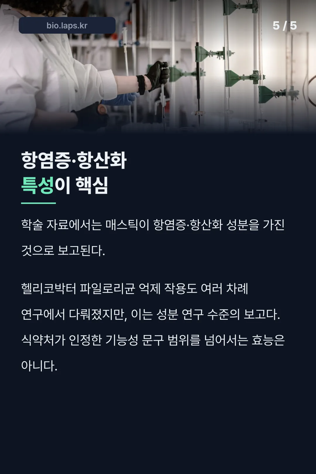 매스틱 연구 보고