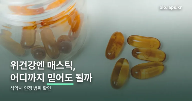 위건강엔 매스틱효능 정리 썸네일