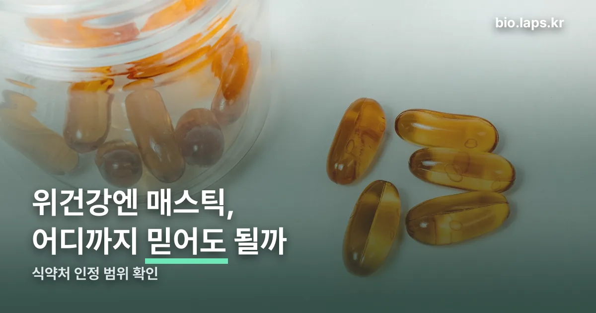 위건강엔 매스틱효능 정리 썸네일