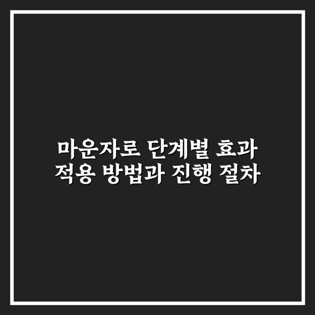 마운자로 단계별 효과 적용 방법과 진행 절차