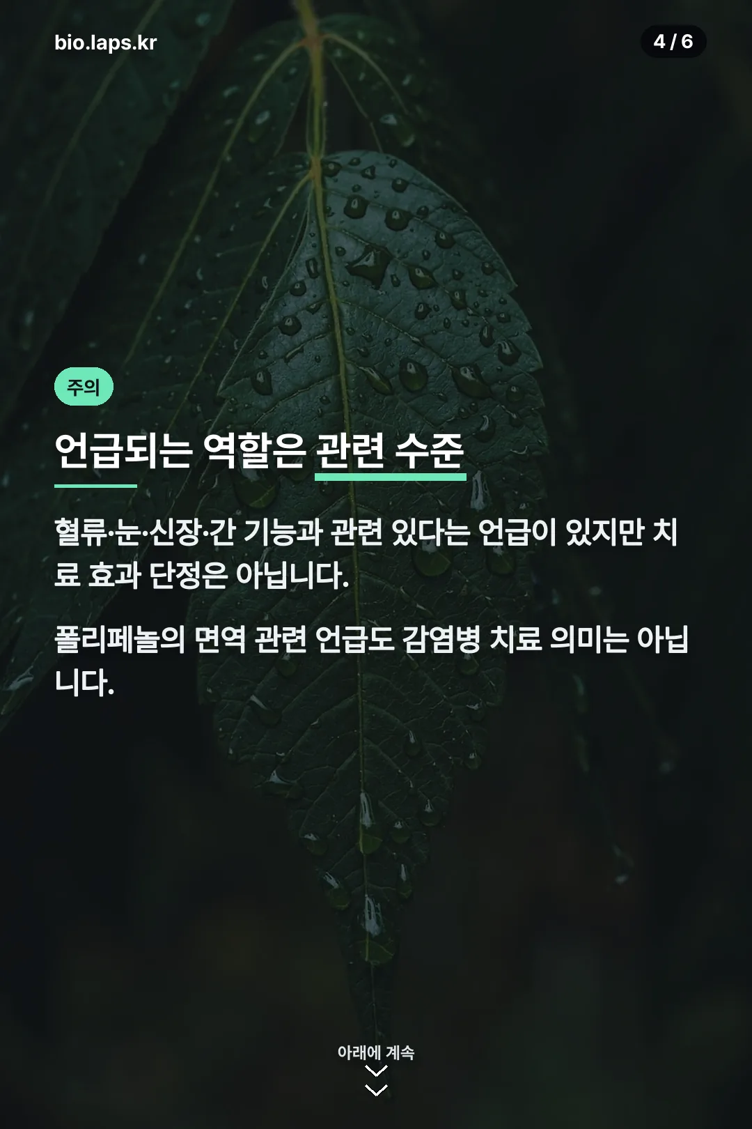 언급되는 역할 주의