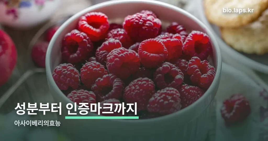 아사이베리의효능 정리 썸네일