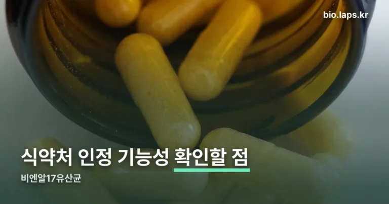 비엔알17유산균 정리 썸네일