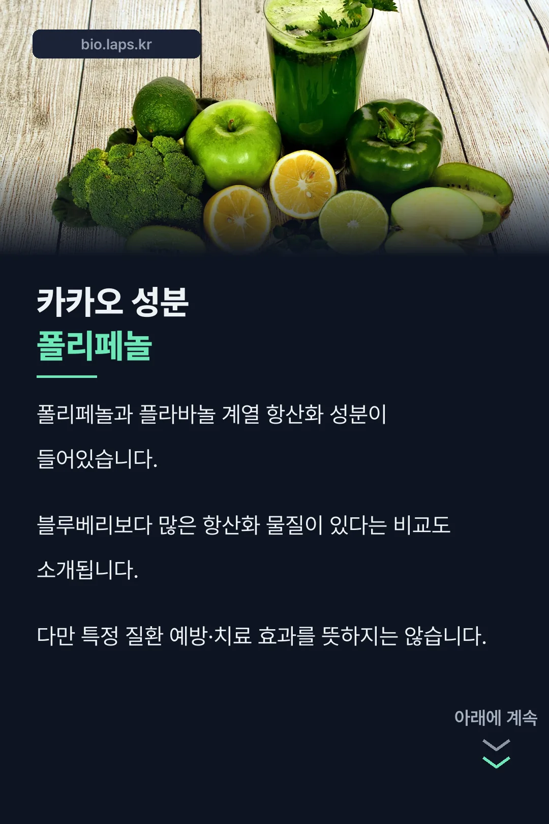카카오 폴리페놀 성분