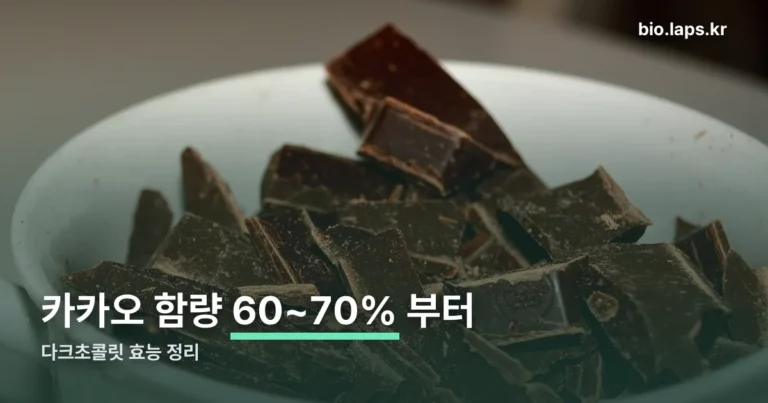 다크초콜릿 효능 정리 썸네일