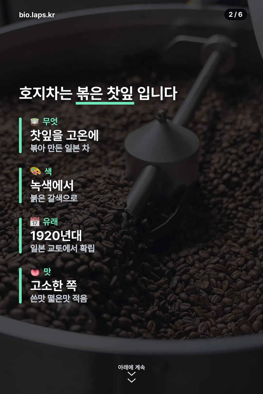 호지차 정체 정리