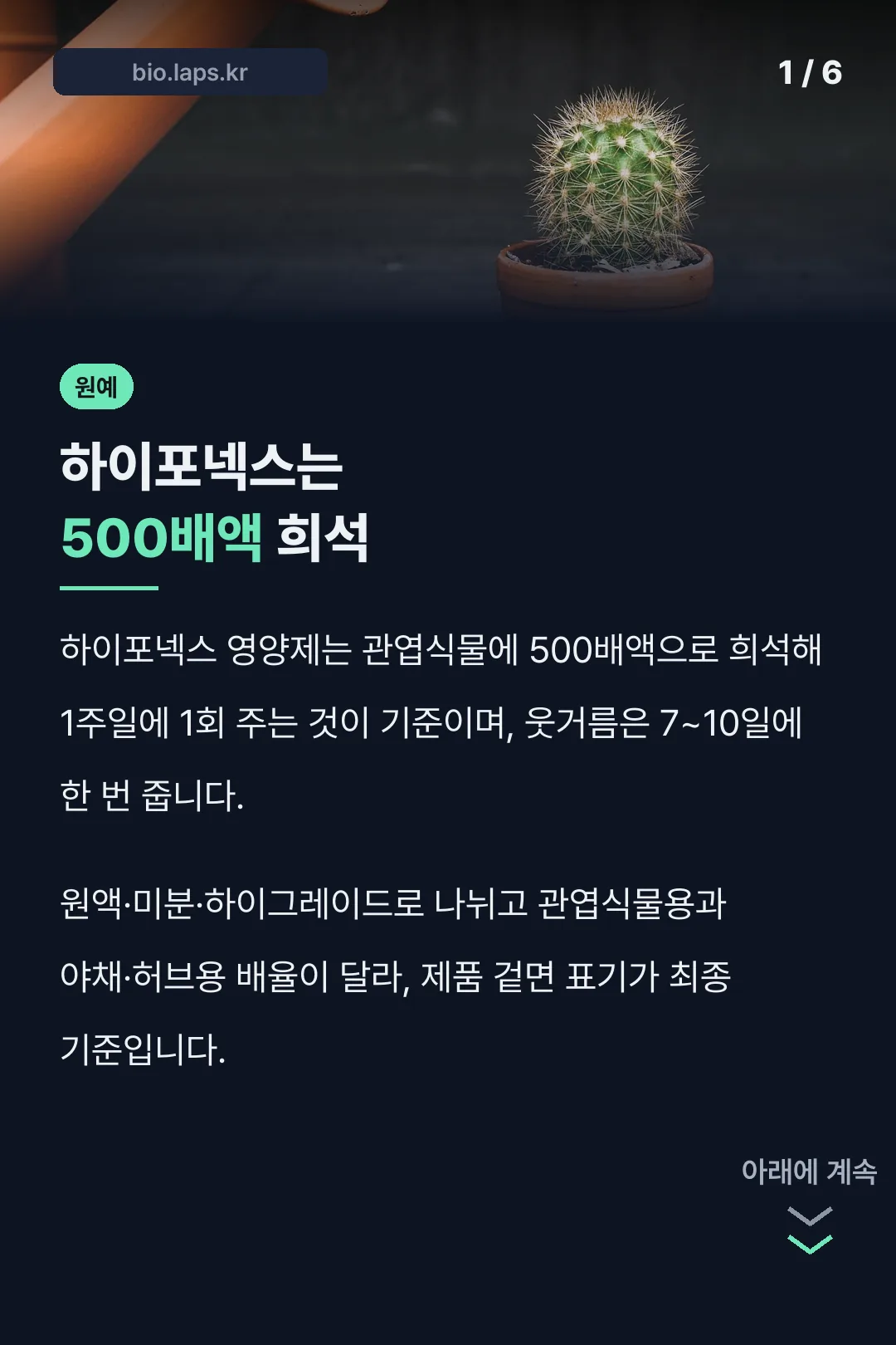 하이포넥스는 500배액 희석