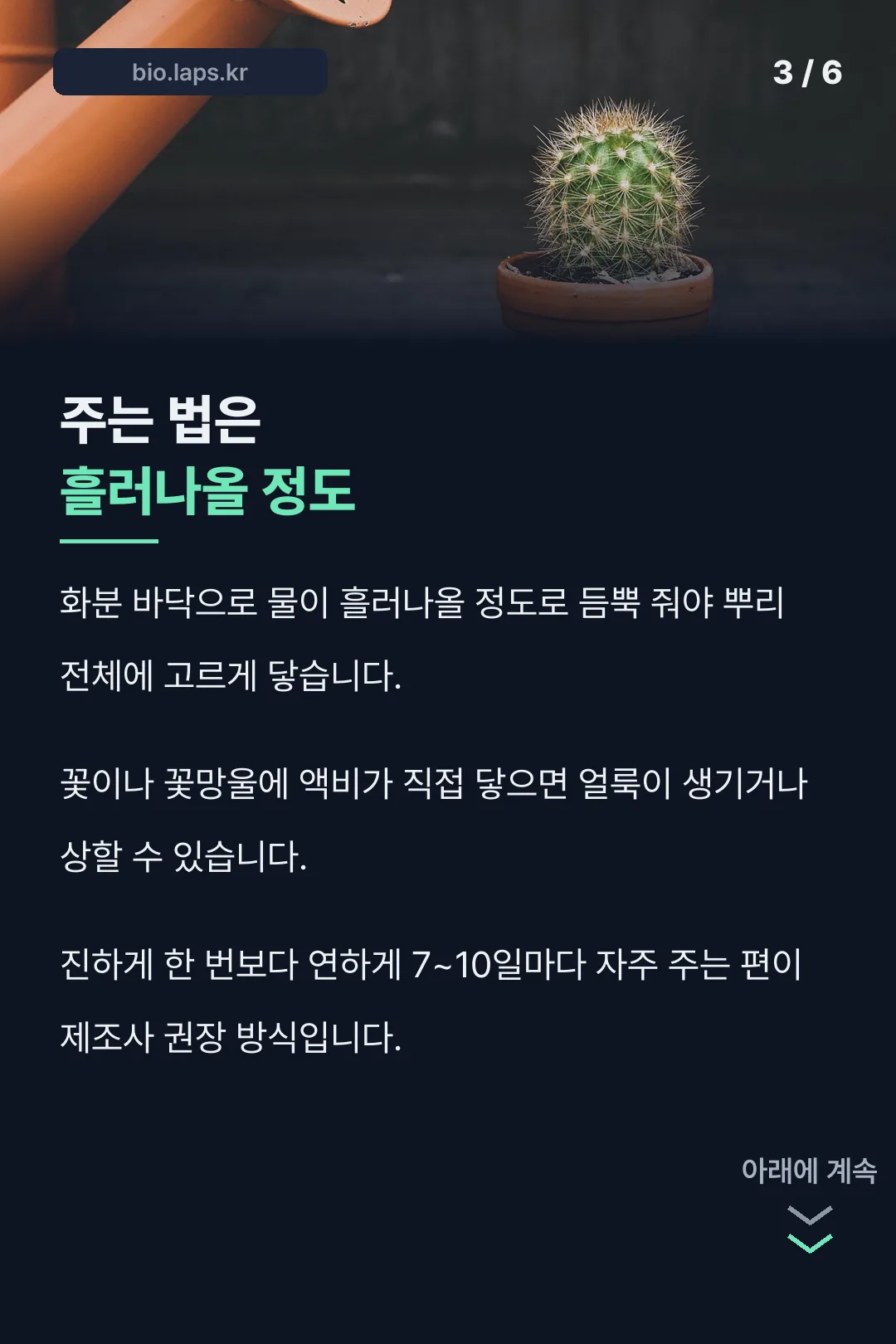 물 주는 방법