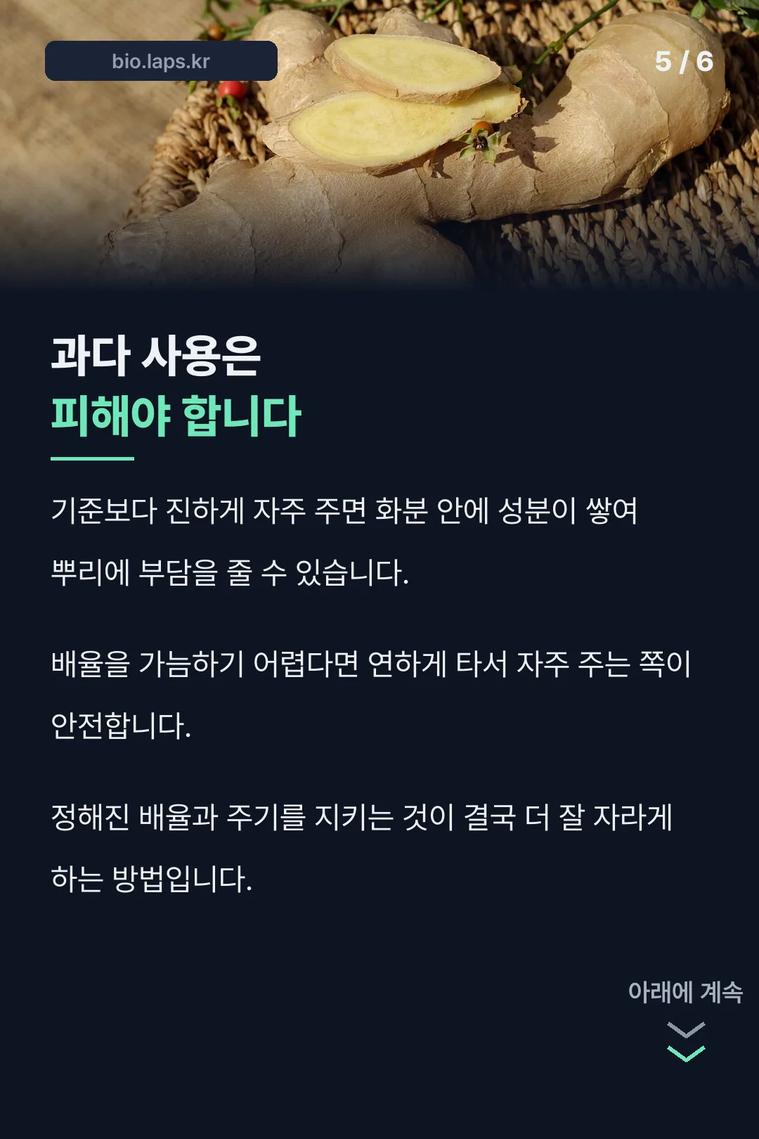 과다 사용 주의