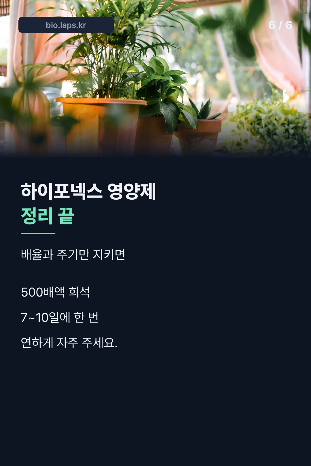 마무리 정리