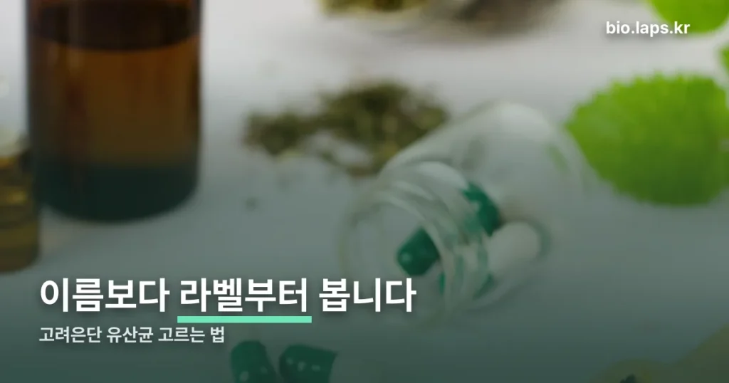고려은단 유산균 고르는 법 — 균주와 함량부터 확인하는 기준
