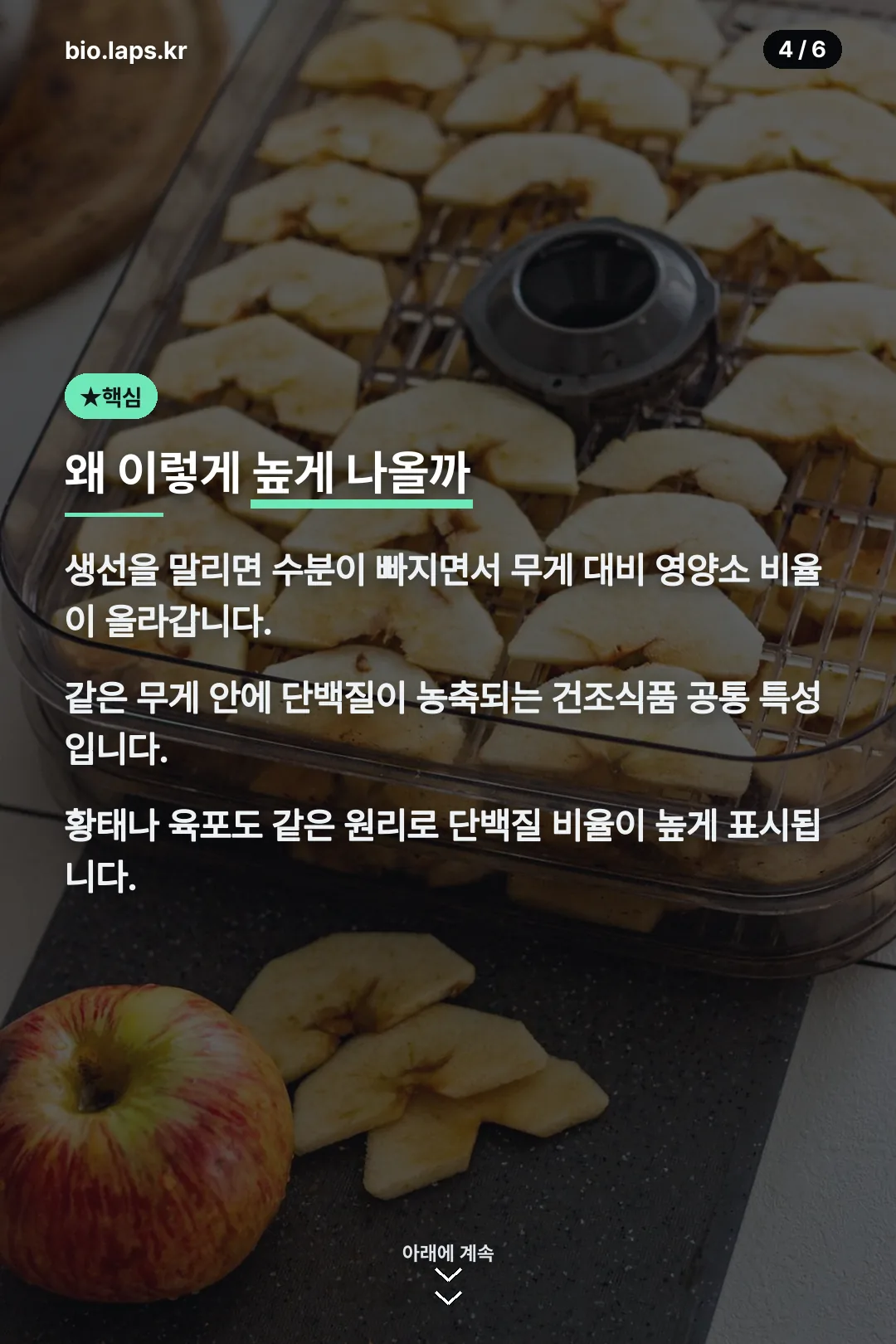 단백질 비율이 높은 이유