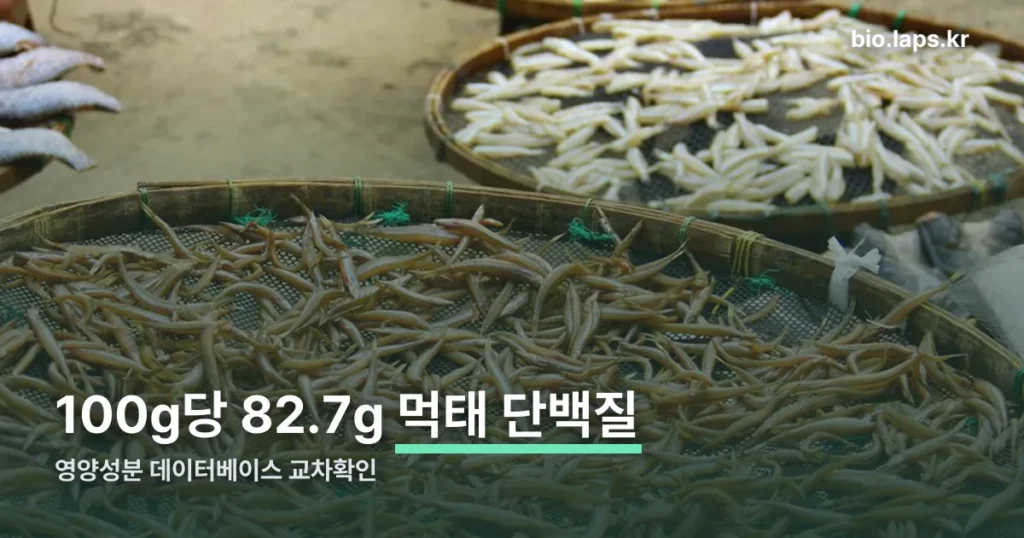 먹태 단백질 정리 썸네일