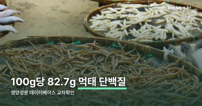 먹태 단백질 정리 썸네일