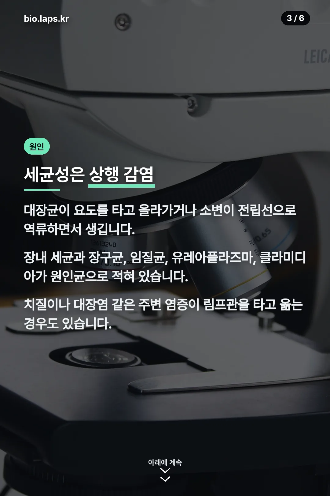 세균성 원인 상행 감염