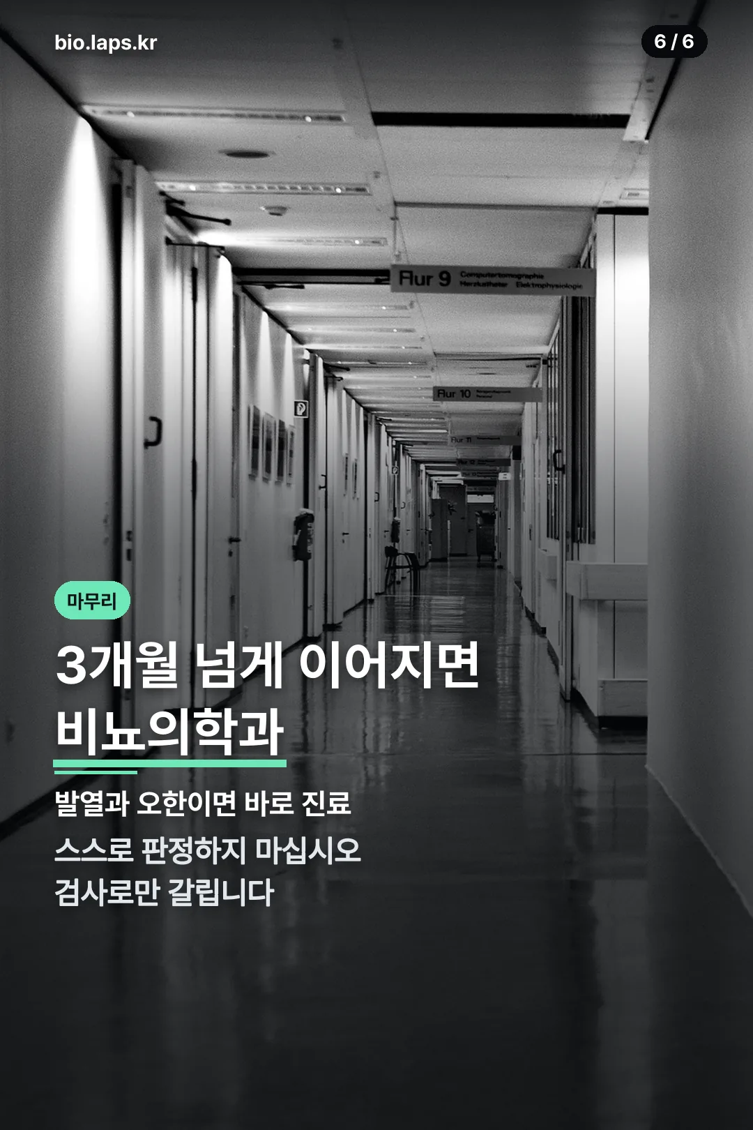 진료 시점 안내