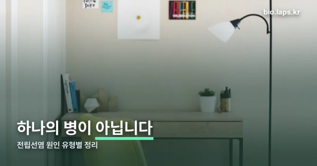전립선염 원인 — 네 가지 유형부터 갈라야 설명이 맞습니다