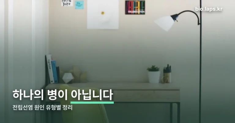 전립선염 원인 정리 썸네일