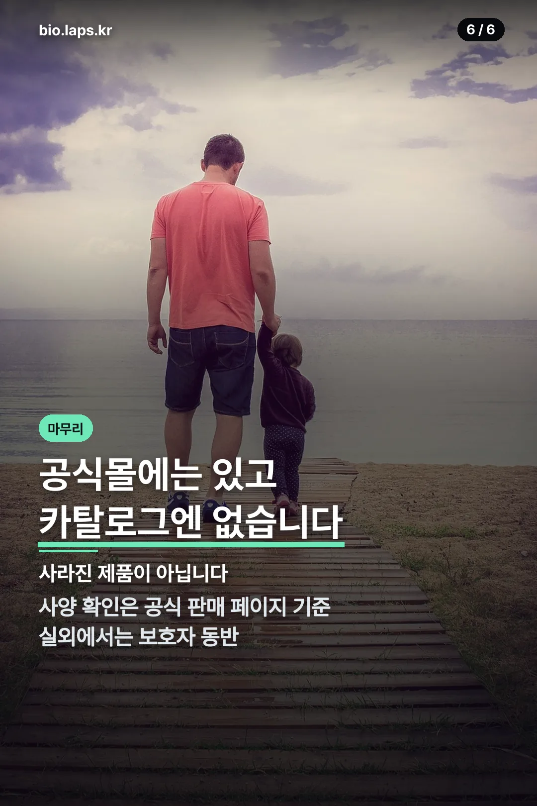 공식몰 기준 확인 마무리