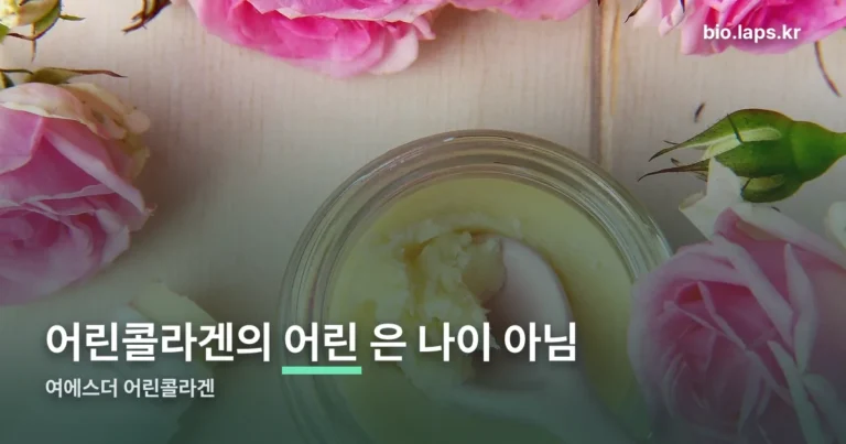 여에스더 어린콜라겐 정리 썸네일