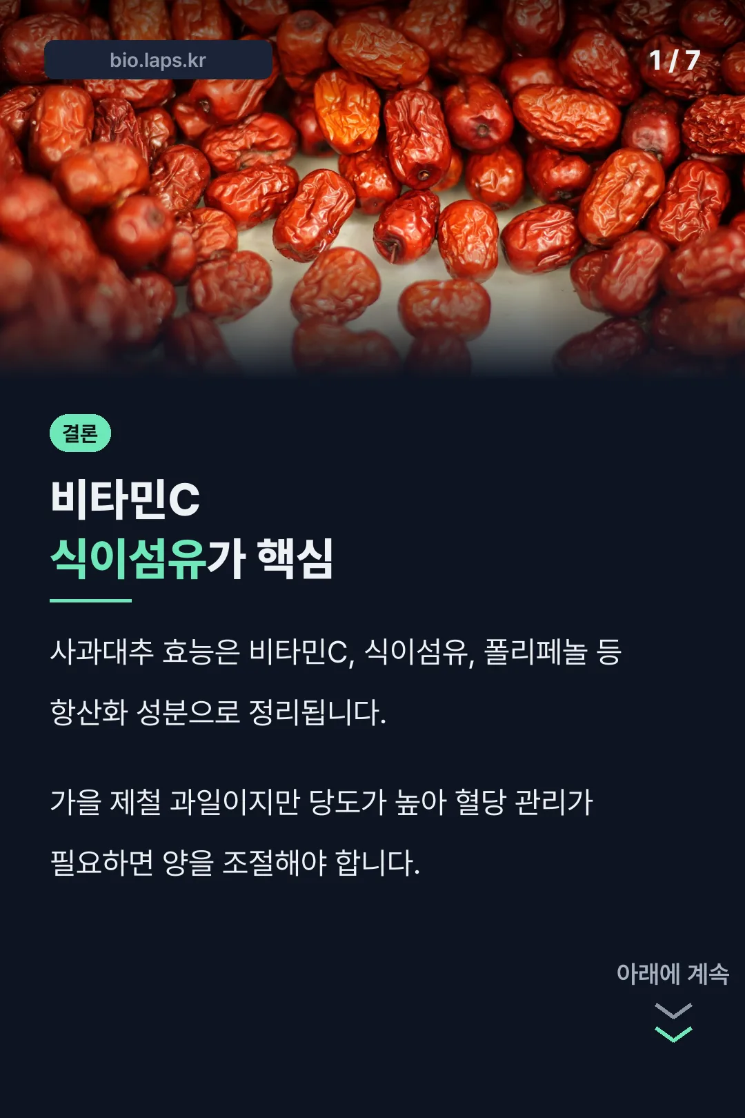 사과대추 효능 결론