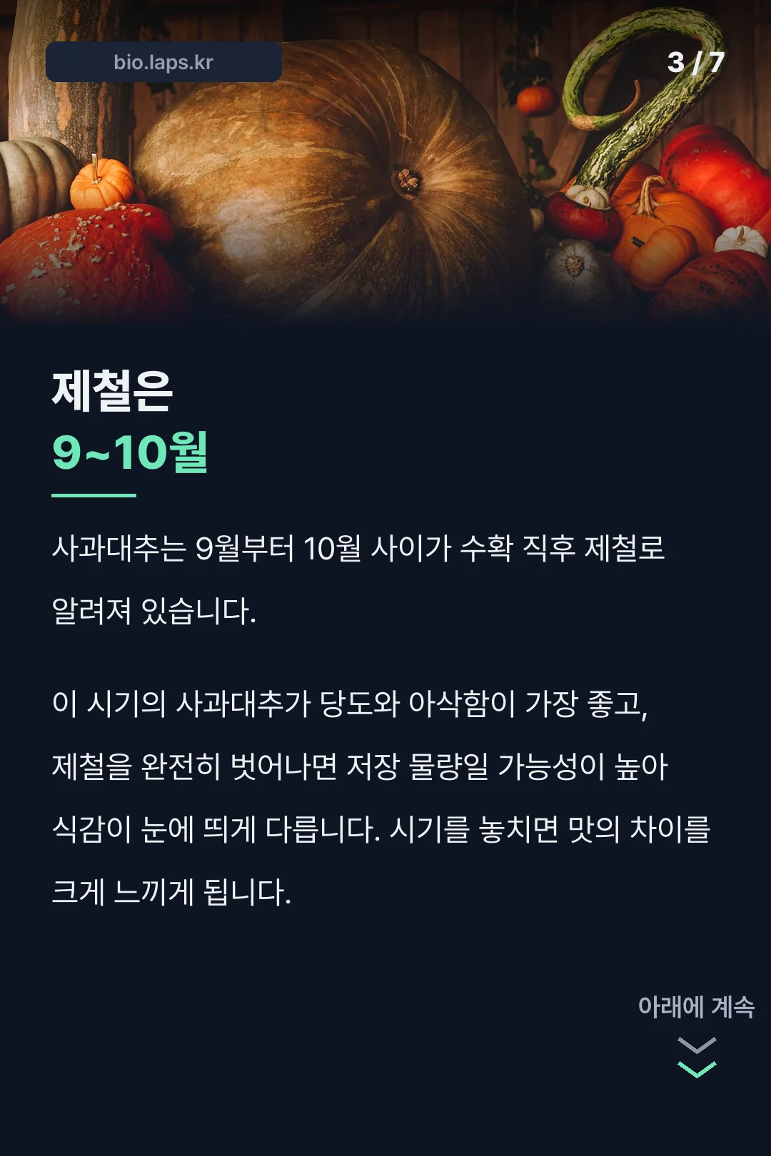 제철 시기