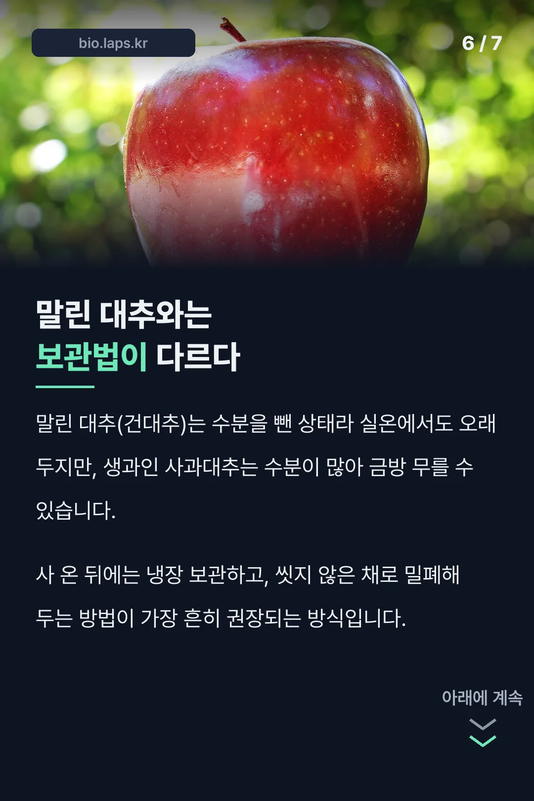 말린 대추와 보관법 비교