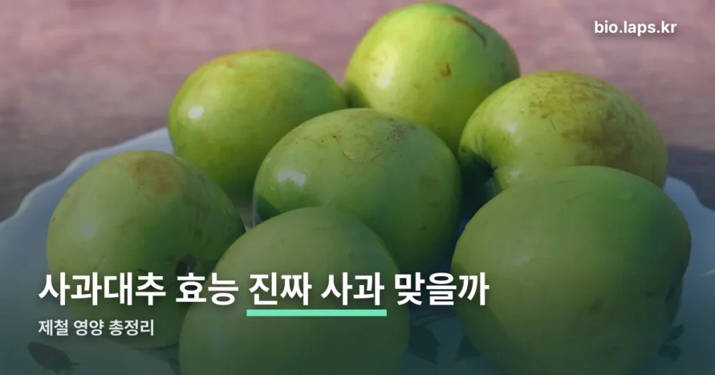 사과대추 효능 정리 썸네일