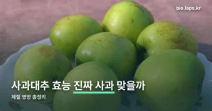 사과대추 효능 — 비타민C·식이섬유와 체질별 주의점 (10월 4일 기준)
