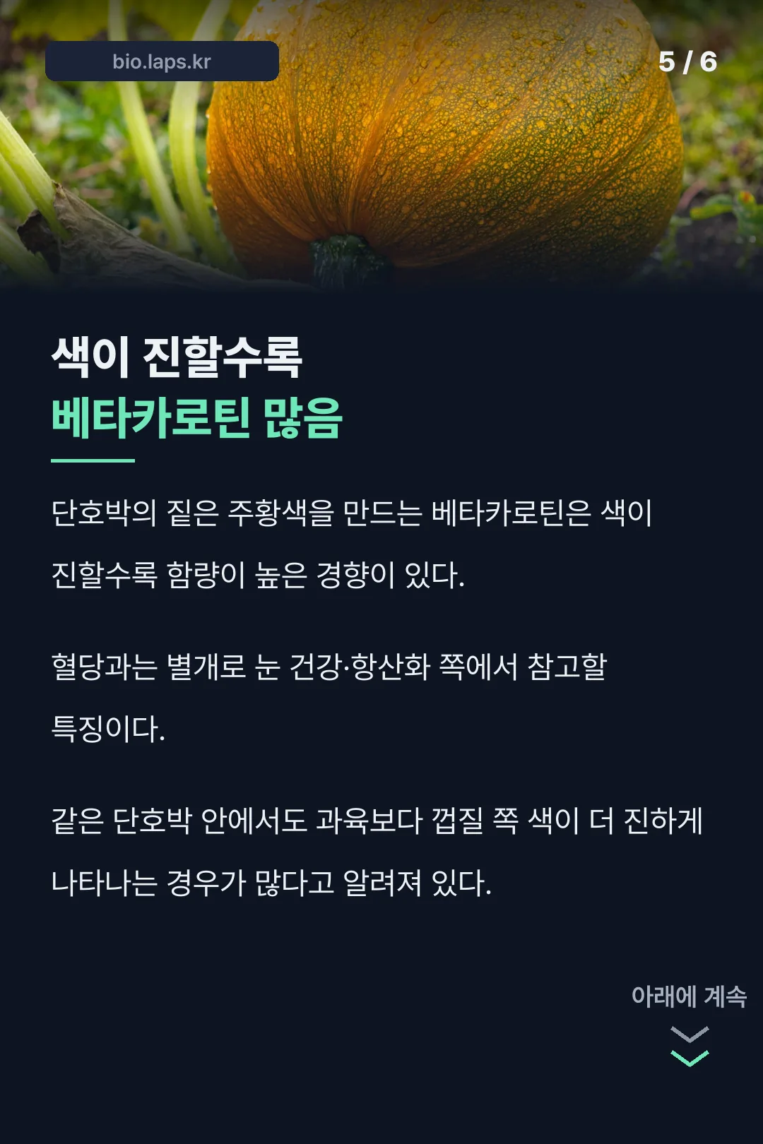 베타카로틴과 색의 관계