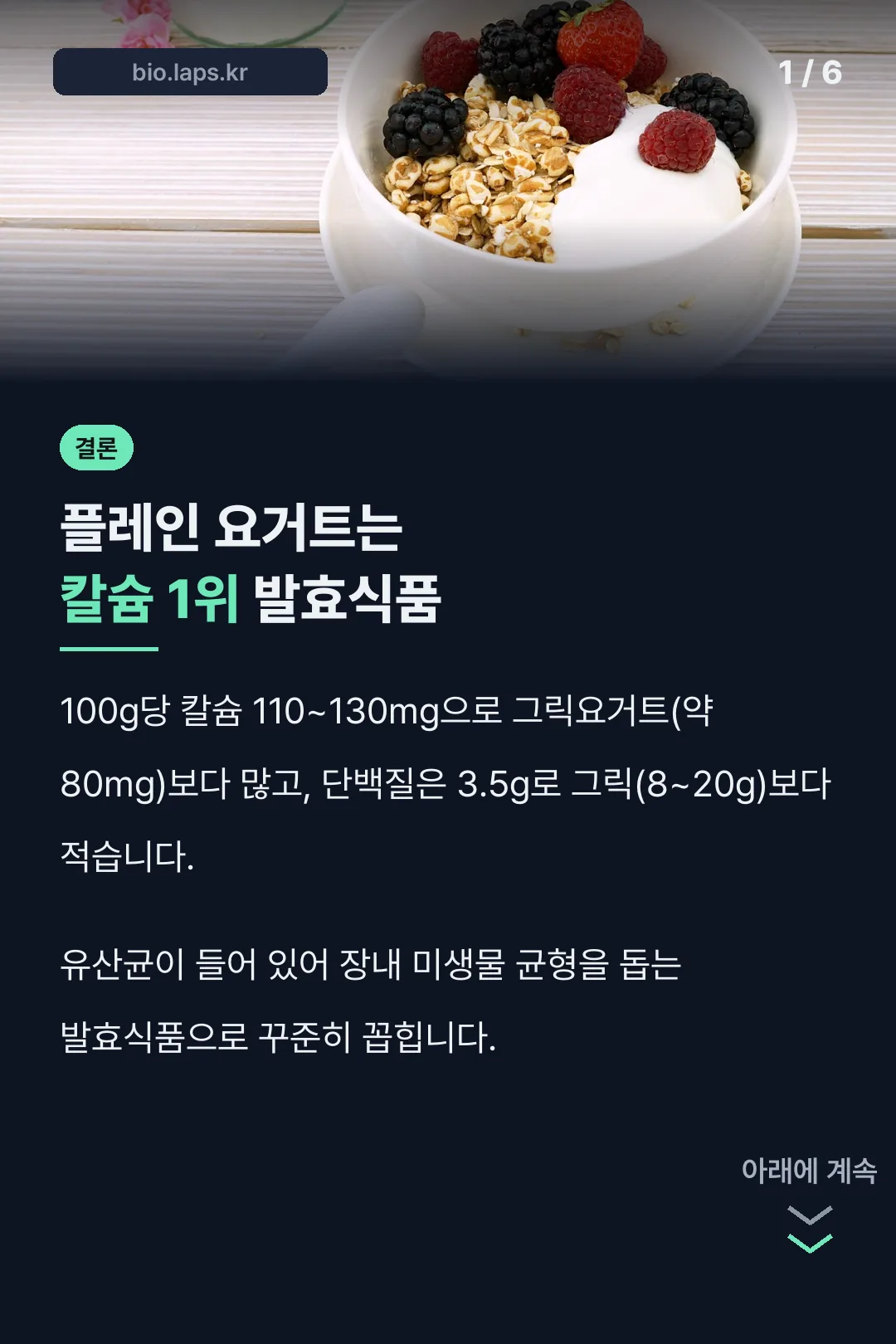 플레인 요거트 칼슘·단백질 결론