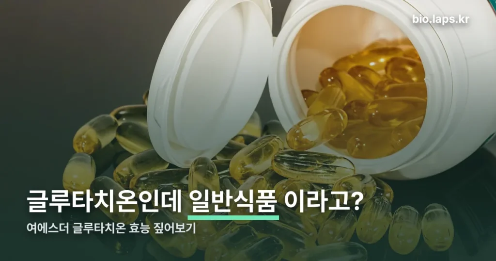 여에스더 글루타치온 효능 정리 썸네일